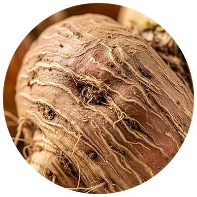 Hard Chews Ingredients